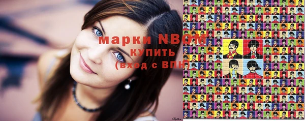 дмт Гусев
