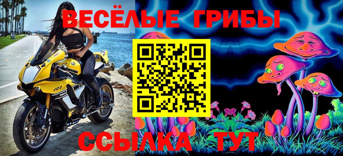 Псилоцибиновые грибы прущие грибы  Вход с VPN  цены   Саянск 