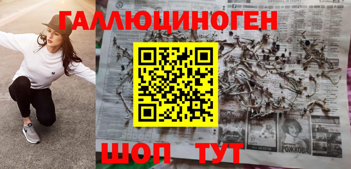 Псилоцибиновые грибы мицелий Саянск