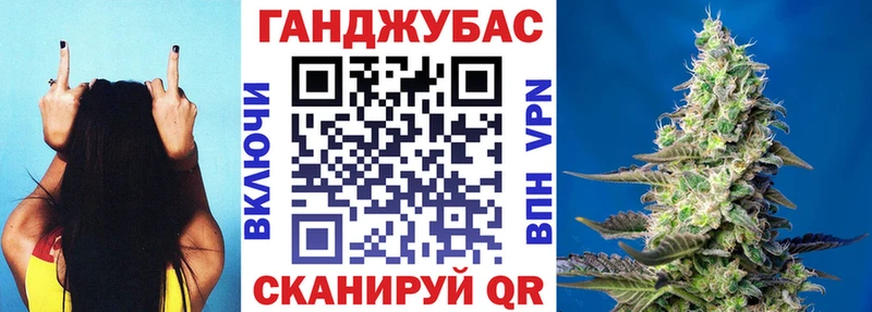 Бошки марихуана сатива  hydra ССЫЛКА  Саянск  дарнет шоп 