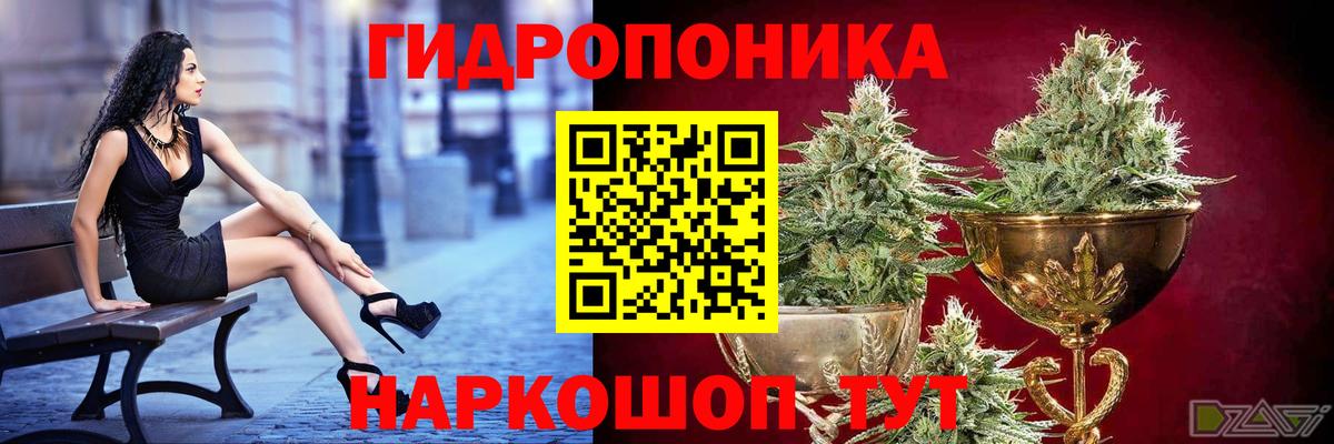 Бошки марихуана White Widow Саянск